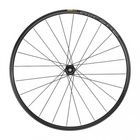 Ruedas Mavic Allroad DCL 700 12x142